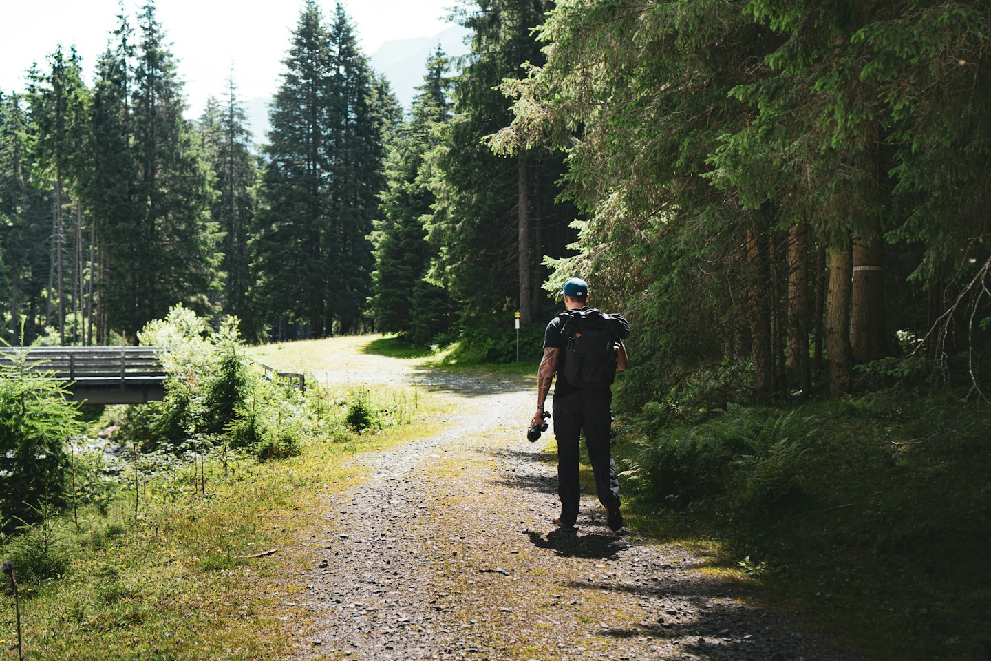 Hiker with backpack and camera walks forest path.