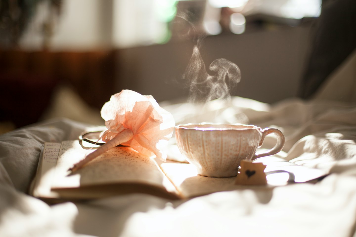 Steaming coffee cup and reading glasses on an open book.